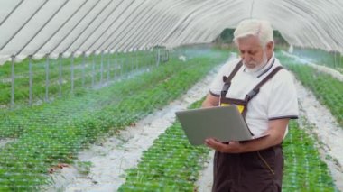 Tarlada hologramı kontrol etmek için dizüstü bilgisayar kullanan yaşlı çiftçi