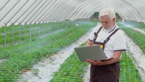 フィールド上のホログラムを制御するためのラップトップを使用して高齢農家 — ストック動画