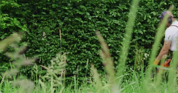 Giardiniere in boccole di taglio uniformi con macchina elettrica — Video Stock