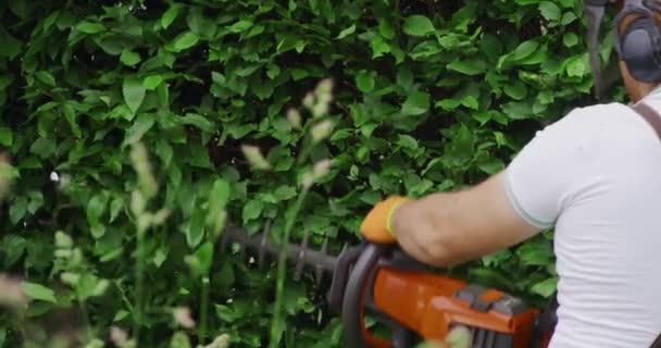 Jardineiro masculino que corta a sebe com cortador elétrico ao ar livre — Vídeo de Stock