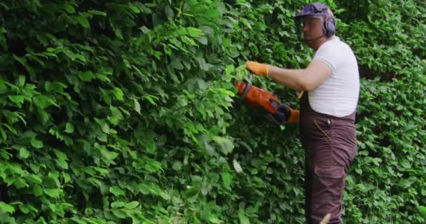 Homem que dá forma a arbustos com cortador elétrico no jardim — Vídeo de Stock