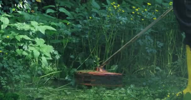 Jardineiro profissional usando cortador elétrico para cortar grama — Vídeo de Stock