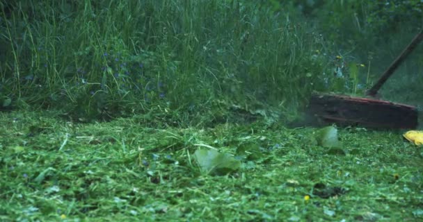 Професійний садівник використовує електричну косарку для зрізання трави — стокове відео