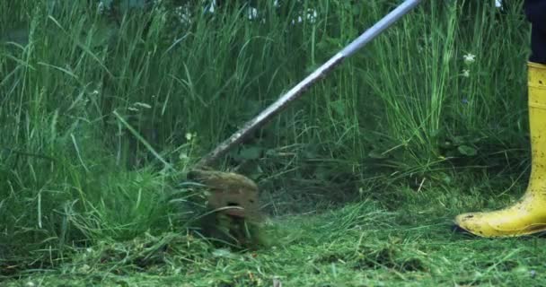 Jardineiro masculino usando cortador elétrico para cortar grama — Vídeo de Stock