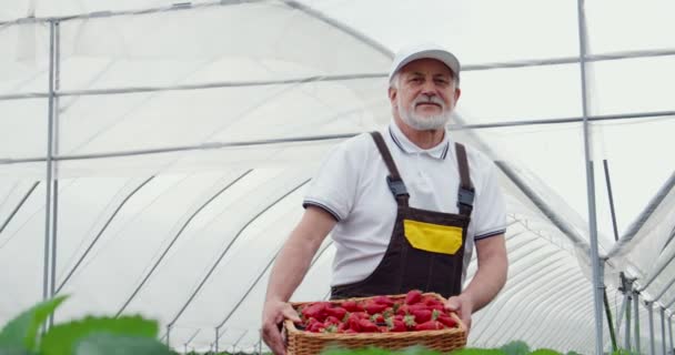 딸기가 익은 바구니를 들고 있는 노인. — 비디오