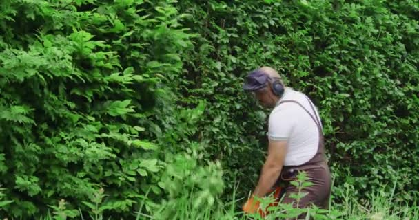 Садівник використовує електричний тример для обрізки зелених кущів — стокове відео