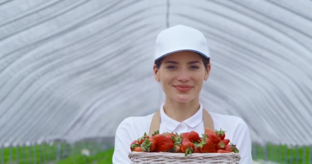 Женщина в шапке и фартуке держит корзину с клубникой — стоковое видео