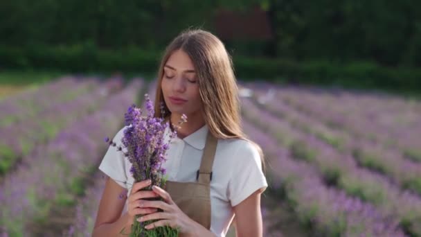 Uśmiechnięta dziewczyna pachnąca lawendowe kwiaty na polu. — Wideo stockowe