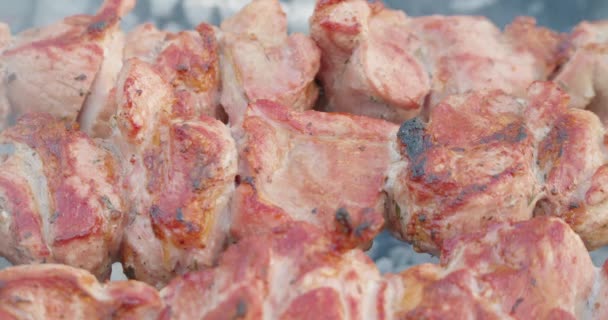 Tutup dibumbui shish kebab grill terbakar — Stok Video