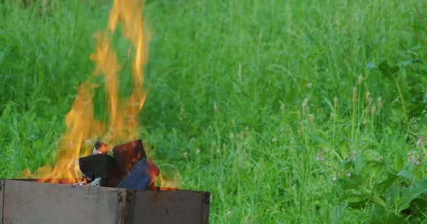 Close up of bonfire with blur background of green grass — Stock video