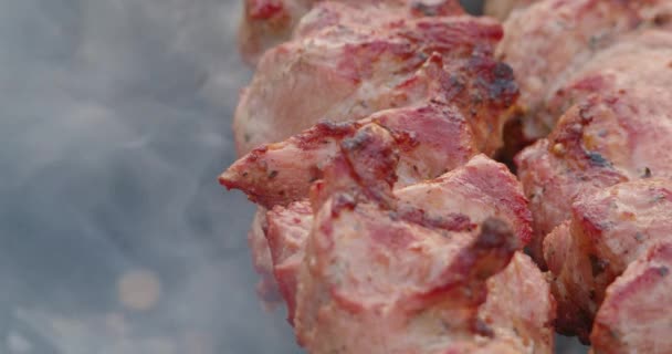 Detailní záběr šťavnatého marinovaného shashlik grilu na grilu — Stock video