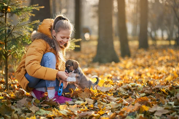 Blondes Mädchen spaziert mit Welpe im Herbstpark. — Stockfoto