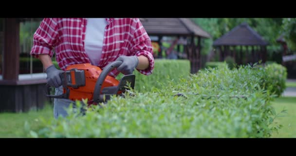 Femme utilisant une tondeuse électrique pour façonner les buissons — Video