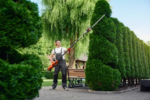 Mannlig gartner som bruker elektrisk trimmer til forming av hekker – stockfoto