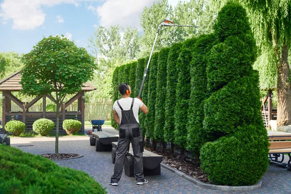 Gärtner schneidet Hecke mit Elektroschere — Stockfoto