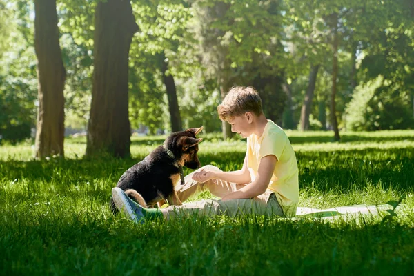 Glückliches Kind und kleiner Welpe spielen gemeinsam im Stadtpark — Stockfoto