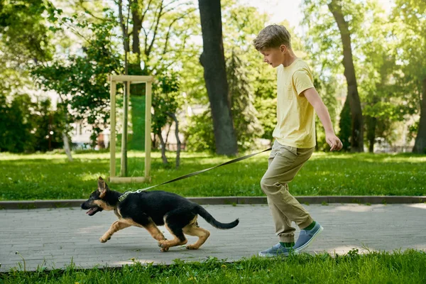 快乐的男孩带着小狗在夏天的公园里奔跑 — 图库照片