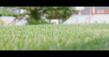 Keskin, taze biçilmiş çimlere yakın bir yerde.