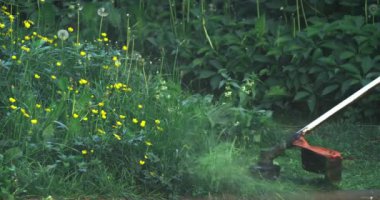 Erkek bahçıvan çim biçme makinesiyle çim biçiyor.