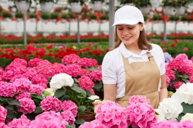 Üniformalı bir kadın ortancayla serada dikiliyor.