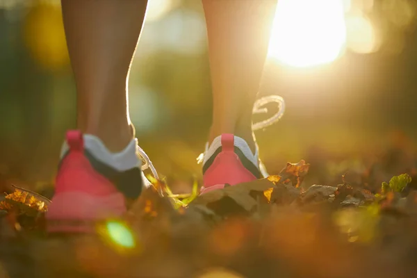 Ноги активной женщины в спортивных кроссовках бегают по парку — стоковое фото