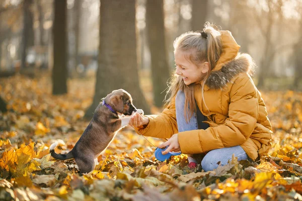 Hübsches Mädchen entspannt mit Welpe im Herbst im Park. — Stockfoto