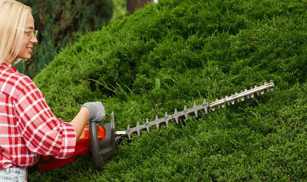 Mujer cuidando de los arbustos con recortadora de setos eléctrica — Foto de Stock