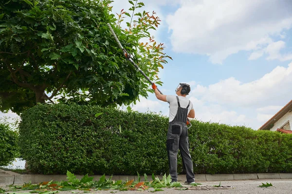 Pria kaukasia bertopeng dan sarung tangan memangkas pohon di luar — Stok Foto