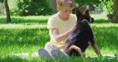 Oyuncu çocuk ve küçük köpek yavrusu parkta birlikte vakit geçiriyorlar.