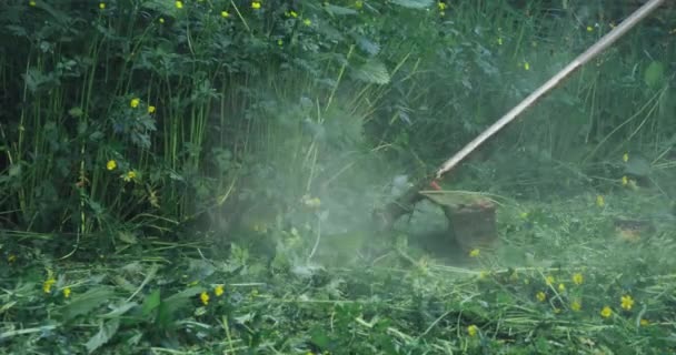 Man i gula gummistövlar skär gräs med elektrisk gräsklippare — Stockvideo
