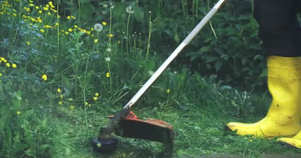 Hombre trabajador segando hierba alta en el patio trasero — Vídeo de stock