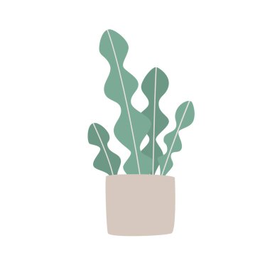 Saksıda yetişen tatlı, sulu bitkinin tasviri. Saksıdaki saksı. Vektör çizimi. Modern illüstrasyon.