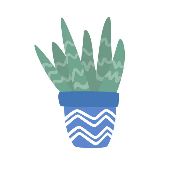 Planta Aloe Vera Tierna Dibujada Mano Creciendo Maceta Azul Aloe — Archivo Imágenes Vectoriales