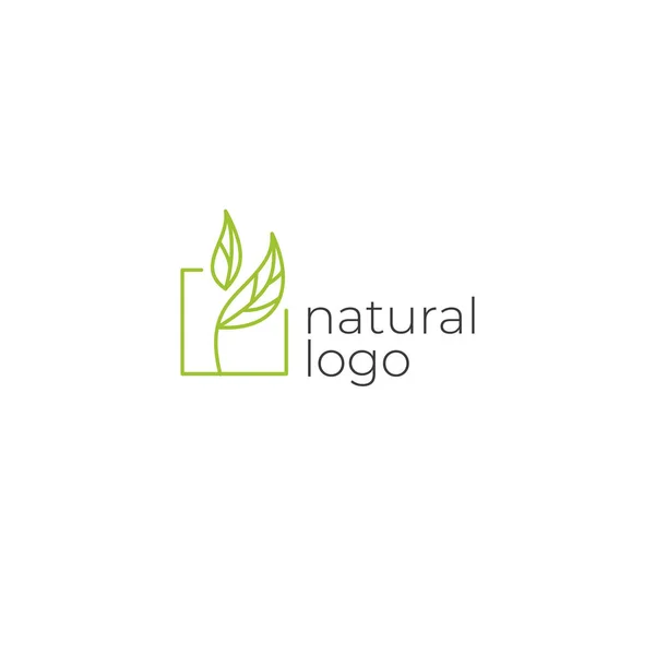 带有绿叶的天然标志 绿色公司的自然徽章 矢量简约线标识为正方形 矢量说明 — 图库矢量图片