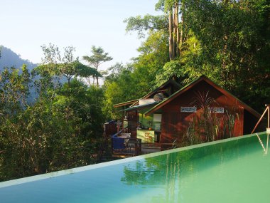 Sonsuzluk havuzu ormanda