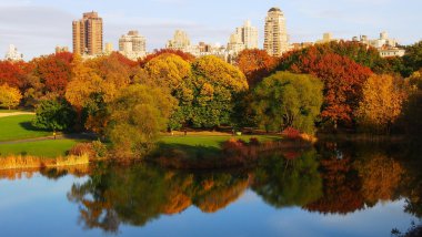Central Park yansıma