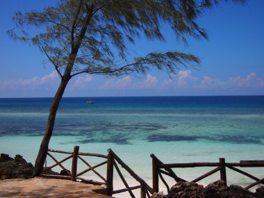 Okyanus içine adım