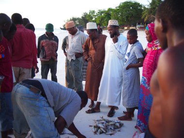 Sahilde balık açık artırma