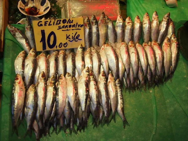 Peixe fresco para venda no mercado — Fotografia de Stock