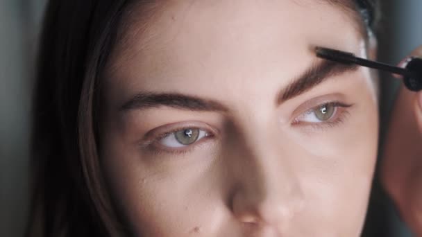 Close-up de uma mão maquiadores aplicar fixação gel transparente — Vídeo de Stock