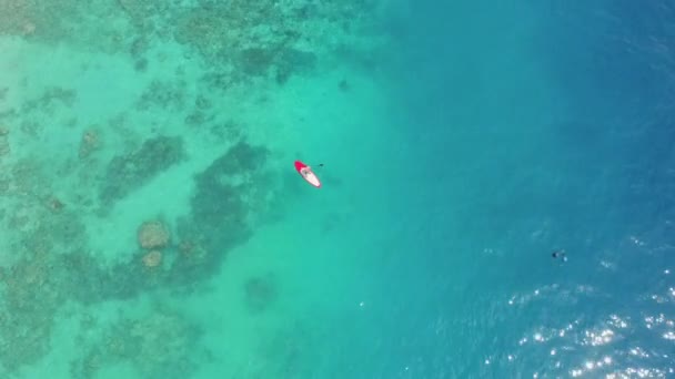 游客们沿着迷人的透明的印度洋水域游泳 — 图库视频影像
