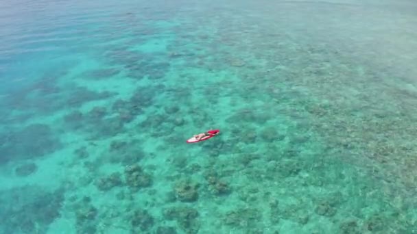 Letecký pohled na uvolněné chlap turista leží na surfu — Stock video