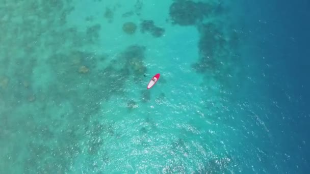 Vue de dessus d'un bateau rouge solitaire navigue dans les eaux de l'océan Indien azur — Video