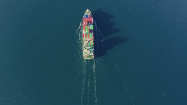 Luchtzicht op groot containerschip drijvend op blauwe oceaan golven — Stockvideo