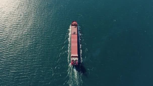 Imagini aeriene ale navei de marfă container pe mare, cu vedere de sus în jos . — Videoclip de stoc