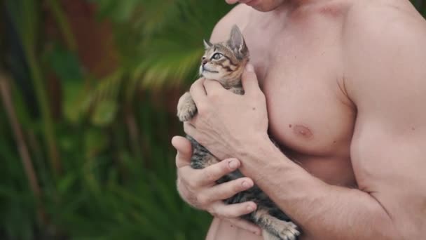 Gros plan chaton tenu par fort caucasien homme — Video