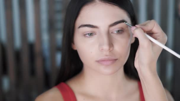Maquillaje artista aplicar maquillaje en la cara de joven hermosa morena — Vídeo de stock