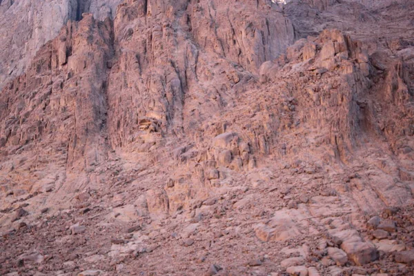 Mısırın Yüksek Dağı Olan Mısır Dağlarından Musa Nın Dağından Taşlarla — Stok fotoğraf