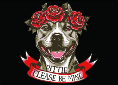 Gül tacıyla süslenmiş bu sevimli Pitbull tatlı tatlı 