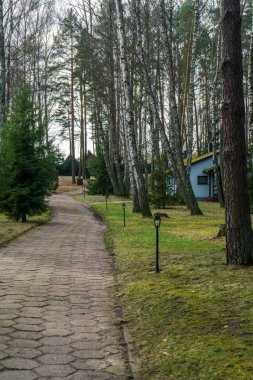 Sakin bir orman bölgesinde uzun çam ağaçlarıyla çevrili rahat bir ev. Ağaçların arasından parlayan güneş ışığı taş yolu ve yeşil çimenleri aydınlatır. Çevre yaşamı, tatil inzivaları ve kırsal kesim için ideal huzurlu ve rahatlatıcı bir atmosfer yaratır.